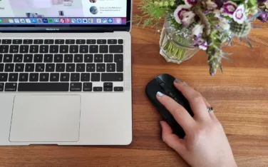 Onit Diktiermaus Original