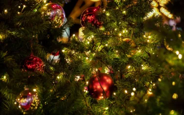 Weihnachtsbeleuchtung tannenbaum teaser