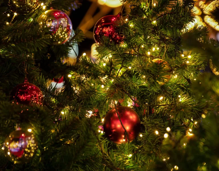 Weihnachtsbeleuchtung tannenbaum teaser