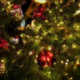 Weihnachtsbeleuchtung tannenbaum teaser