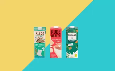 Vegan milchalternative pflanzlich teaser