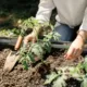 Hochbeet Teaser