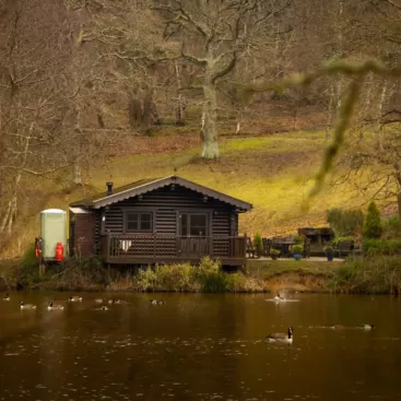 Ed1b1cc2 eb99 4291 b9e6 af66f93d6810