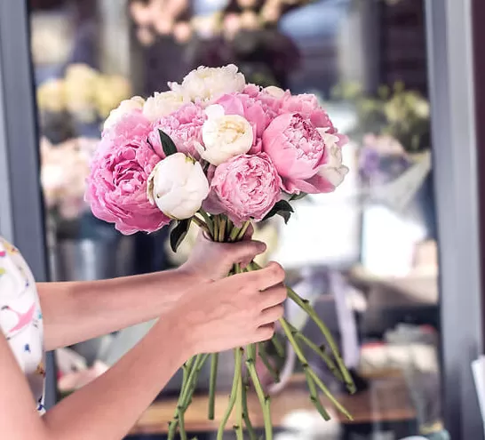 Dieblumen Teaser
