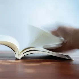 Ratgeber beobachter teaser