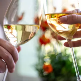 Alkoholfreier wein