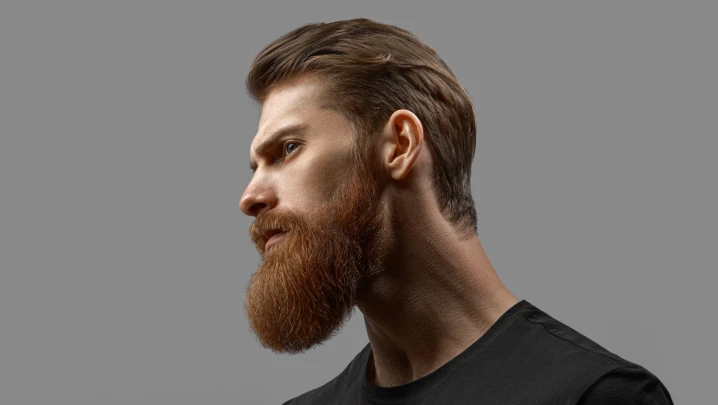 Young bearded man close-up portrait in profile. Excellent beard and hairstyle. Male model close up on a gray background.