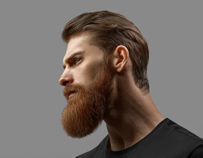Young bearded man close-up portrait in profile. Excellent beard and hairstyle. Male model close up on a gray background.