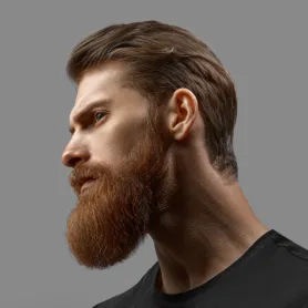 Young bearded man close-up portrait in profile. Excellent beard and hairstyle. Male model close up on a gray background.