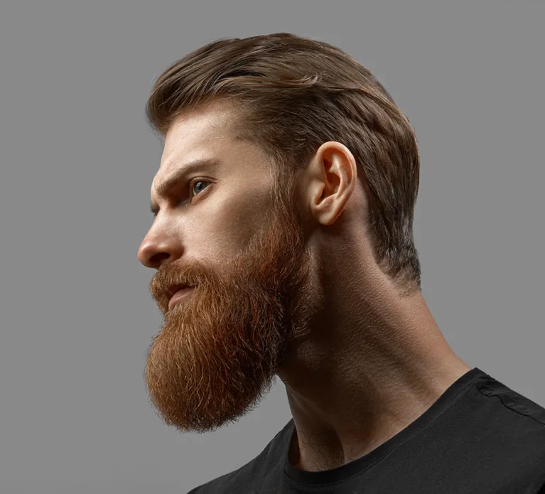 Young bearded man close-up portrait in profile. Excellent beard and hairstyle. Male model close up on a gray background.