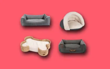 Hundebett Teaser Crop