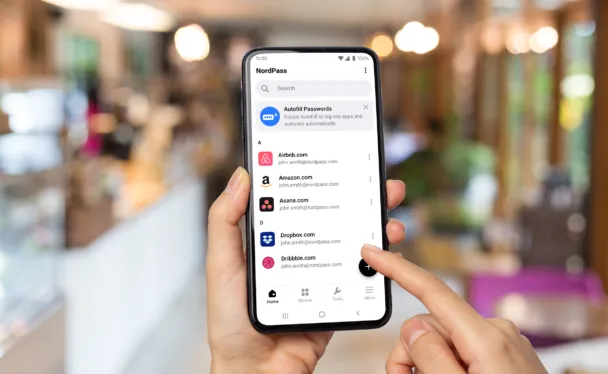 Nordpass visuals 2440x1500 6