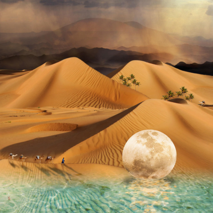 3dd524e50cc8cb8cb93e2b40420c4fd8