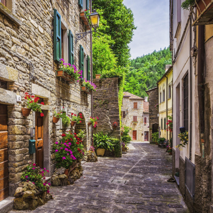 Ed6bacdcbf347418fe121b9f5065e431