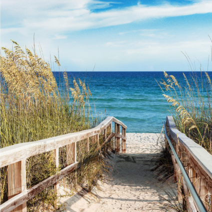 2060525a6229fe60266864defbbf74d3