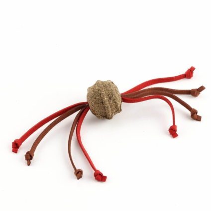 195985820 xxl3 export Ga4 P Co68 Tl Le9g