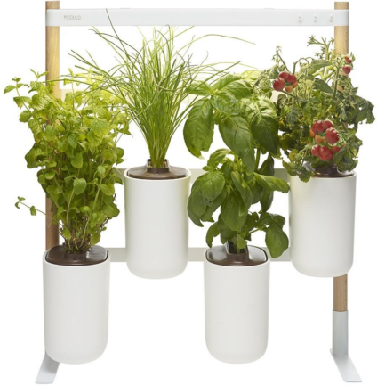 195749410 xxl3 export Ga4 P Co68 Tl Le9g