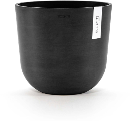 200207406 xxl3 export Ga4 P Co68 Tl Le9g