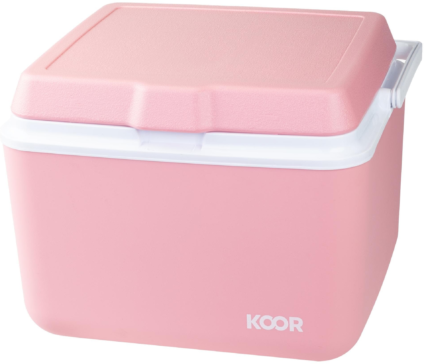 219968923 xxl3 export Ga4 P Co68 Tl Le9g