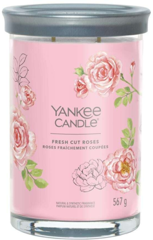 264098937 xxl3 export Ga4 P Co68 Tl Le9g