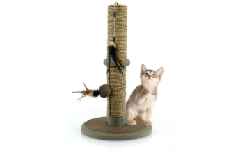 276217337 xxl3 export Ga4 P Co68 Tl Le9g