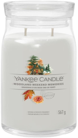 356391265 xxl3 export Ga4 P Co68 Tl Le9g