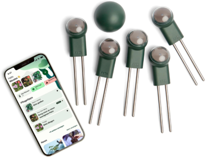 373443950 xxl3 export Ga4 P Co68 Tl Le9g