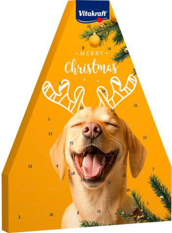 400348294 xxl3 export Ga4 P Co68 Tl Le9g