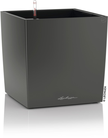 219634578 xxl3 export Ga4 P Co68 Tl Le9g