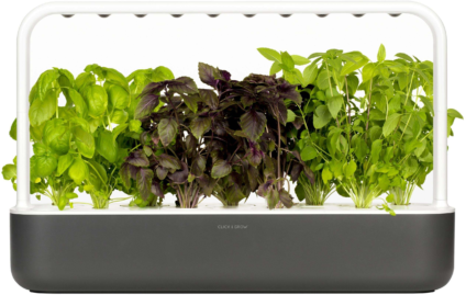 51421013 xxl3 export Ga4 P Co68 Tl Le9g