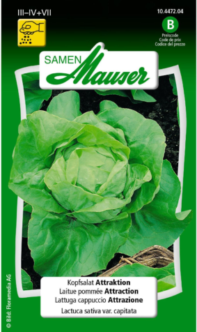 58618429 xxl3 export Ga4 P Co68 Tl Le9g