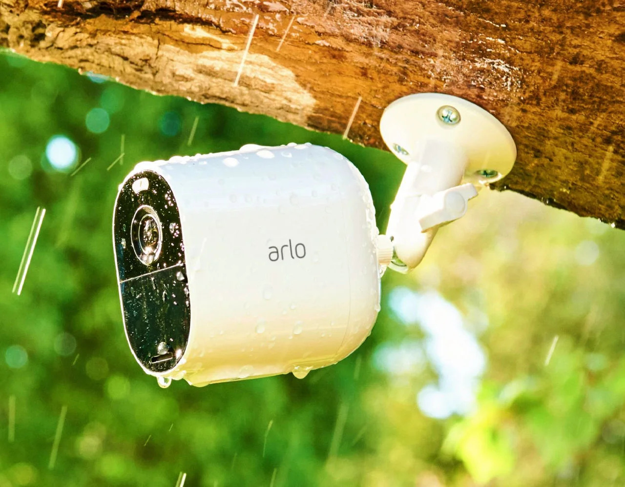 Arlo-im-Regen