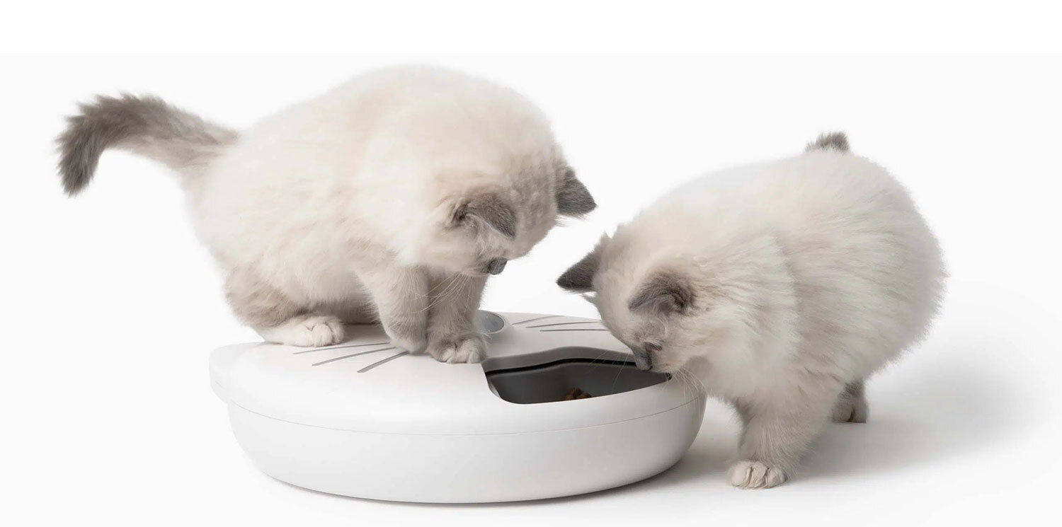 katzen-napf-catit-smart-gadget