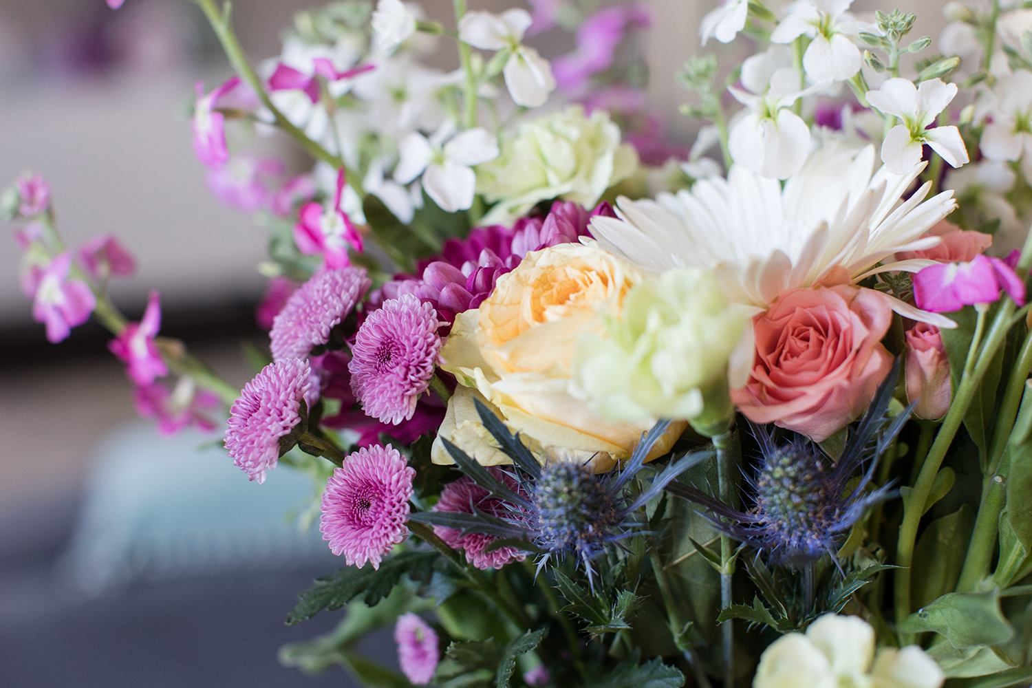 shutterstock_2147200373